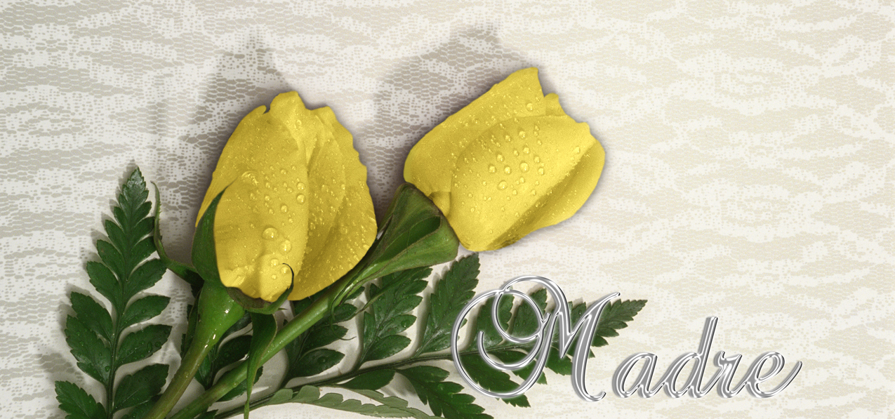 2 Roses Yellow Silver Madre (Spanish)